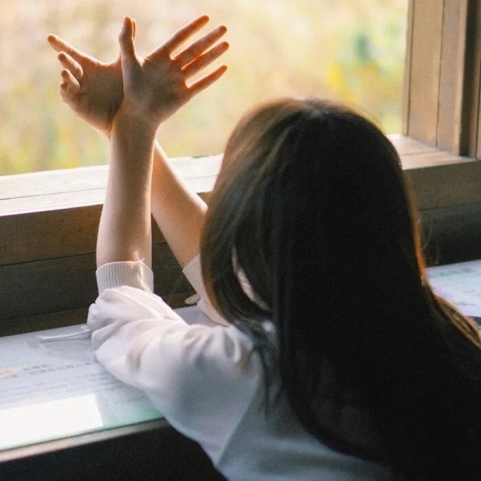 锦鲤萌宝闹京都